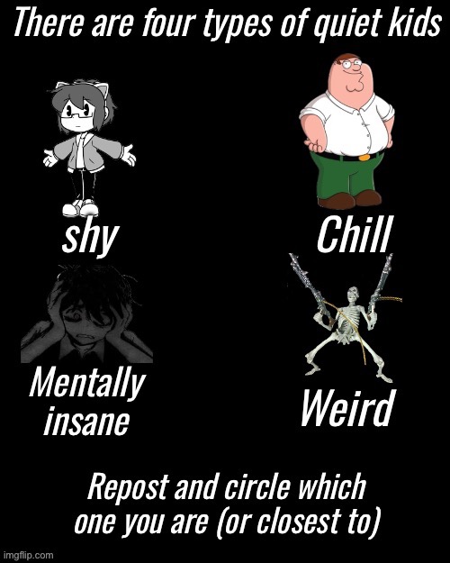 Four types of quiet kid | image tagged in four types of quiet kid,msmg | made w/ Imgflip meme maker