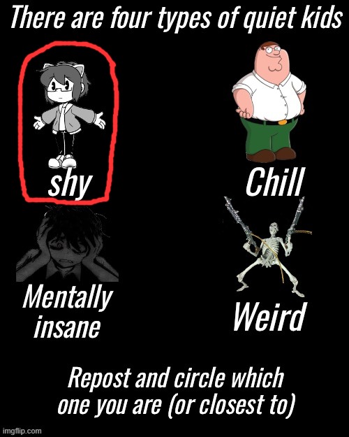 Four types of quiet kid | image tagged in four types of quiet kid | made w/ Imgflip meme maker