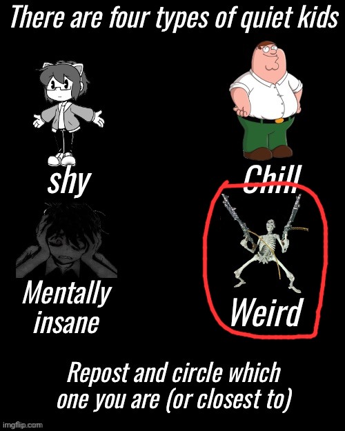 By weird I mean like an Instagram user | image tagged in four types of quiet kid | made w/ Imgflip meme maker
