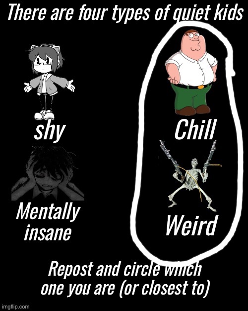 I'm both | image tagged in four types of quiet kid,msmg | made w/ Imgflip meme maker