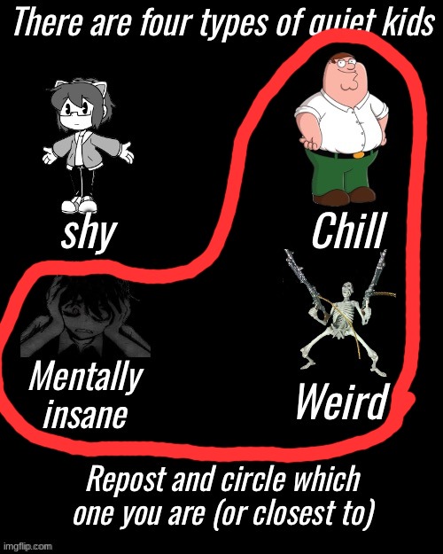 Four types of quiet kid | image tagged in four types of quiet kid | made w/ Imgflip meme maker