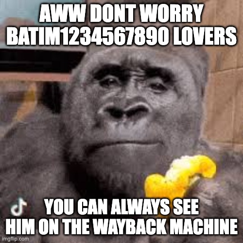 condescending monke | AWW DONT WORRY BATIM1234567890 LOVERS; YOU CAN ALWAYS SEE HIM ON THE WAYBACK MACHINE | image tagged in condescending monke,memes,funny,monke,batim,condescending | made w/ Imgflip meme maker