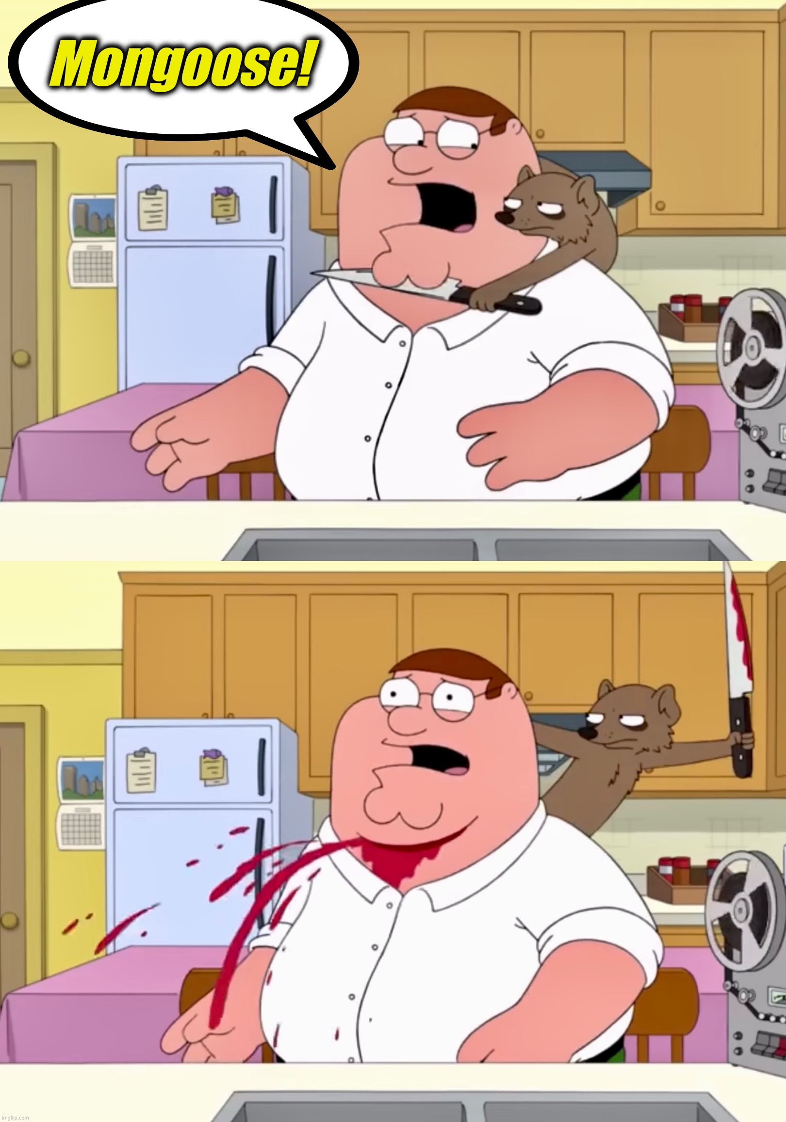 Ambushed | Mongoose! | image tagged in family guy,memes,assassination,surprised,murder,peter griffin | made w/ Imgflip meme maker