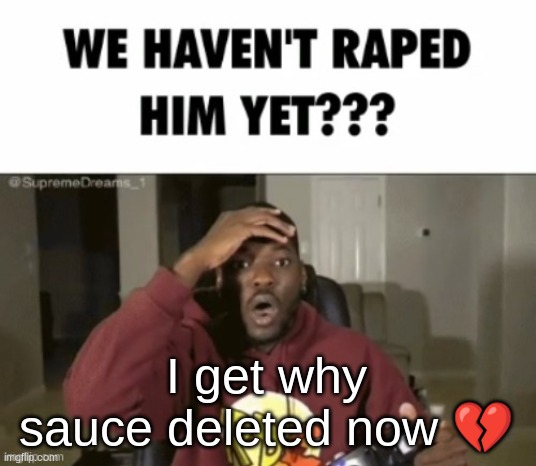 we have not | I get why sauce deleted now 💔 | image tagged in we have not | made w/ Imgflip meme maker