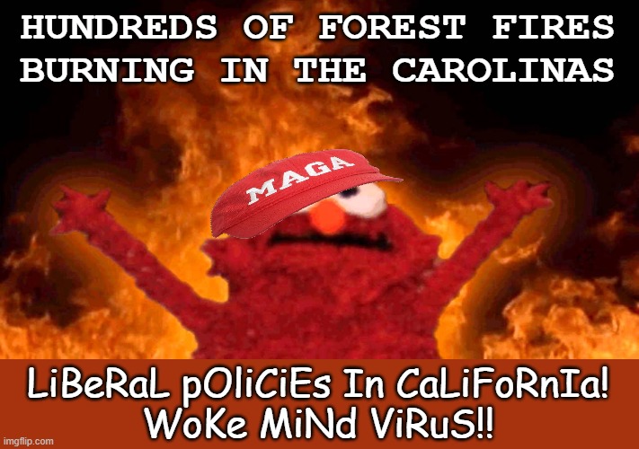 They've got their talking points: why would they let mere reality make them think? | HUNDREDS OF FOREST FIRES
BURNING IN THE CAROLINAS; LiBeRaL pOliCiEs In CaLiFoRnIa!
WoKe MiNd ViRuS!! | image tagged in elmo fire,maga,climate change,fire,wildfires,politics | made w/ Imgflip meme maker