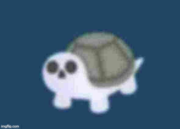 chance and bread killed my boy | image tagged in low quality turtle skeleton | made w/ Imgflip meme maker