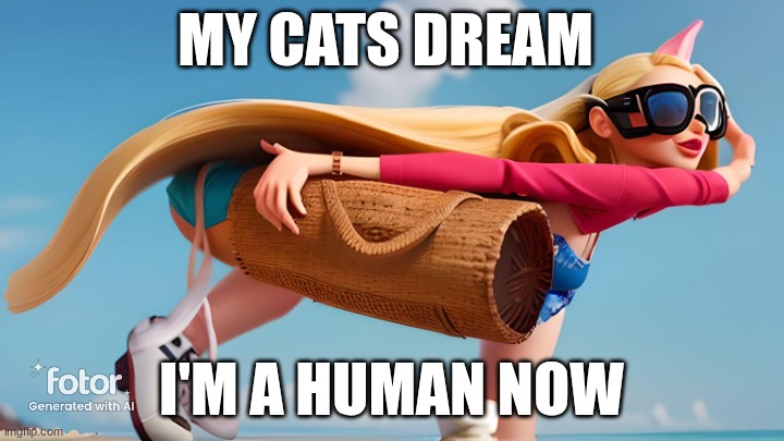 cat hooman | MY CATS DREAM; I'M A HUMAN NOW | image tagged in cat | made w/ Imgflip meme maker