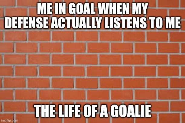 brick wall | ME IN GOAL WHEN MY DEFENSE ACTUALLY LISTENS TO ME; THE LIFE OF A GOALIE | image tagged in brick wall | made w/ Imgflip meme maker