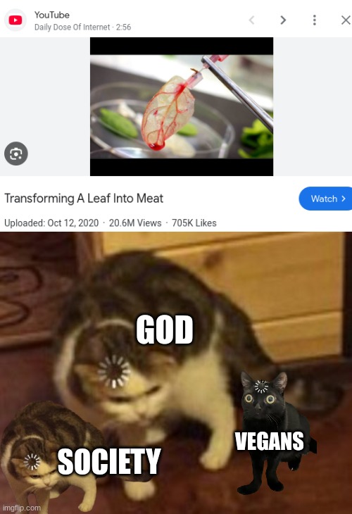 im sorry, how? | GOD; VEGANS; SOCIETY | image tagged in loading cat,memes,youtube,how | made w/ Imgflip meme maker