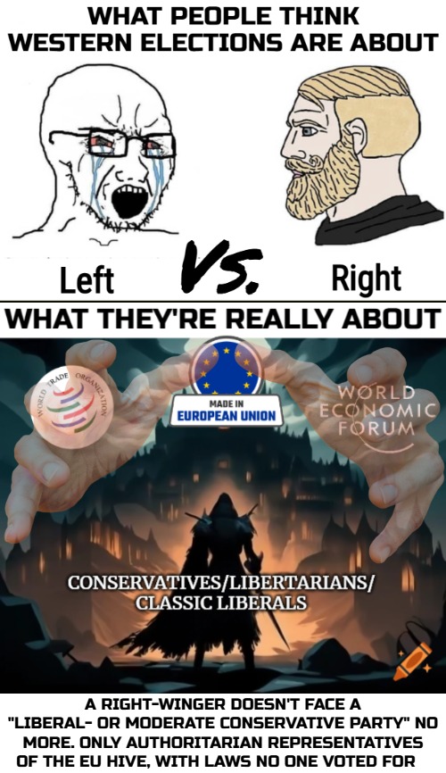 Their ideas of one global hivemind, has admitted "temporary" sacrificial means. Like poverty, basic freedom and lives. | A RIGHT-WINGER DOESN'T FACE A "LIBERAL- OR MODERATE CONSERVATIVE PARTY" NO MORE. ONLY AUTHORITARIAN REPRESENTATIVES OF THE EU HIVE, WITH LAWS NO ONE VOTED FOR | image tagged in globalism,politics,soyboy vs yes chad,tyranny | made w/ Imgflip meme maker