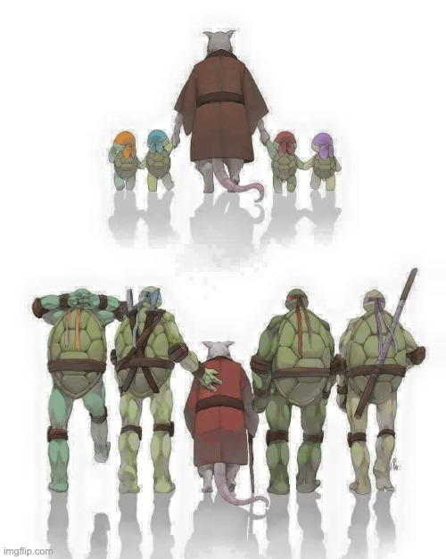 Ninja turtle growing up | image tagged in ninja turtle growing up | made w/ Imgflip meme maker