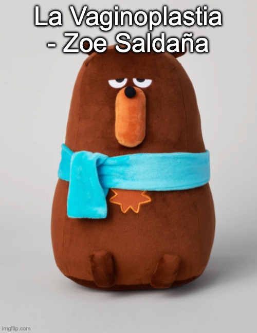 Jokes aside, it's lowkey the worst song I've ever heard | La Vaginoplastia - Zoe Saldaña | image tagged in falstaff plush | made w/ Imgflip meme maker