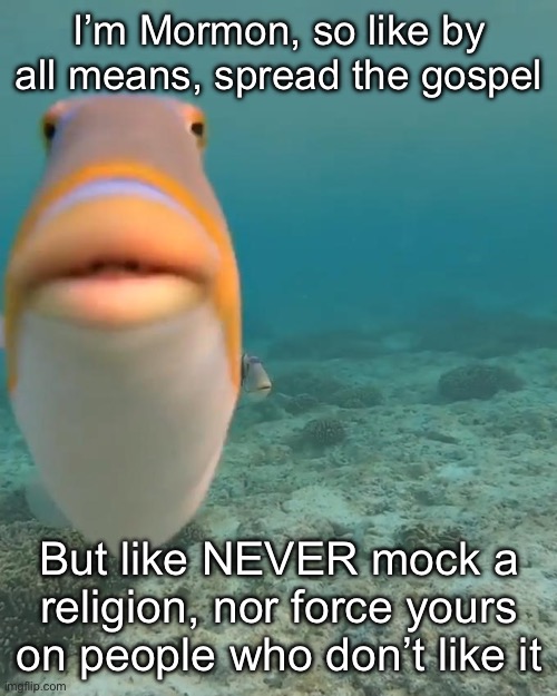 staring fish | I’m Mormon, so like by all means, spread the gospel; But like NEVER mock a religion, nor force yours on people who don’t like it | image tagged in staring fish | made w/ Imgflip meme maker