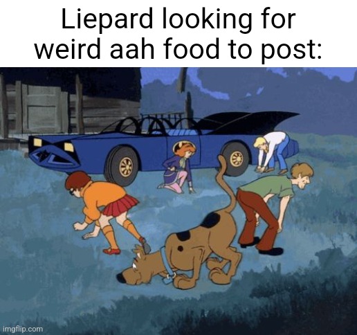 Scooby Doo Search | Liepard looking for weird aah food to post: | image tagged in scooby doo search | made w/ Imgflip meme maker