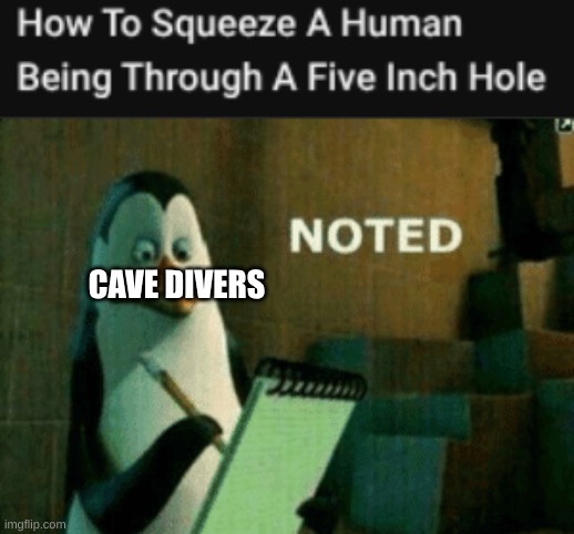 CAVE DIVERS | image tagged in noted | made w/ Imgflip meme maker