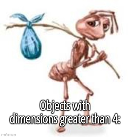 good luck finding good projection for these | Objects with dimensions greater than 4: | image tagged in sad ant with bindle | made w/ Imgflip meme maker