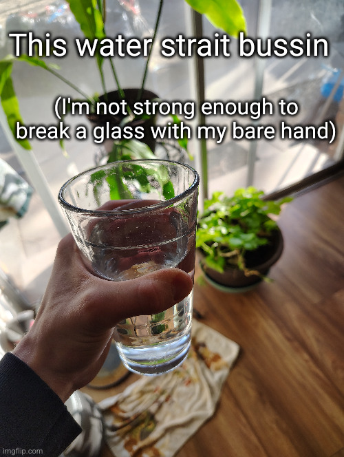 This water strait bussin; (I'm not strong enough to break a glass with my bare hand) | made w/ Imgflip meme maker