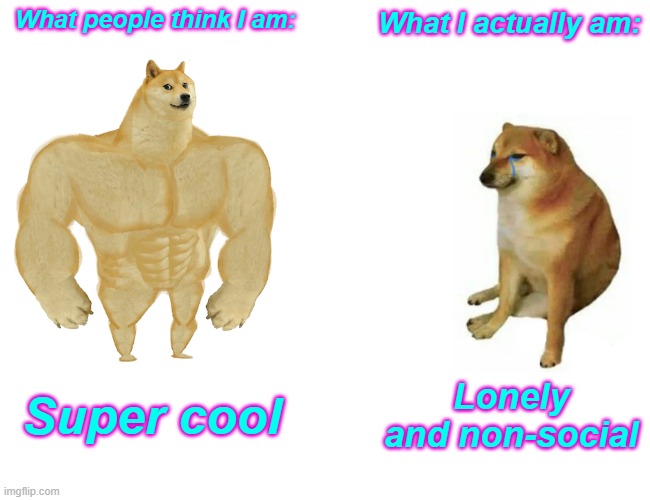 Buff Doge vs. Cheems Meme | What people think I am:; What I actually am:; Super cool; Lonely and non-social | image tagged in memes,buff doge vs cheems | made w/ Imgflip meme maker