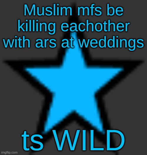 this is  not zeta posting | Muslim mfs be killing eachother with ars at weddings; ts WILD | image tagged in bluestar | made w/ Imgflip meme maker