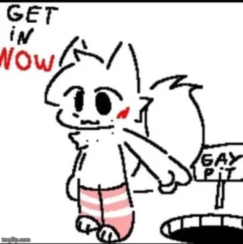 ok everybody wrap it up now that's enough | made w/ Imgflip meme maker