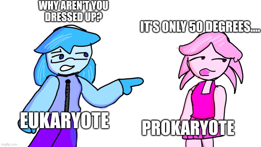 Prokaryotic vs Eukaryotic | WHY AREN'T YOU 
DRESSED UP? IT'S ONLY 50 DEGREES.... EUKARYOTE; PROKARYOTE | image tagged in meme | made w/ Imgflip meme maker