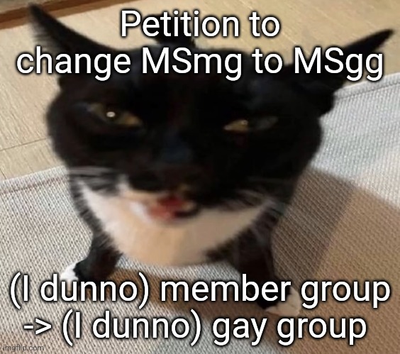 Cat of anger | Petition to change MSmg to MSgg; (I dunno) member group -> (I dunno) gay group | image tagged in cat of anger | made w/ Imgflip meme maker