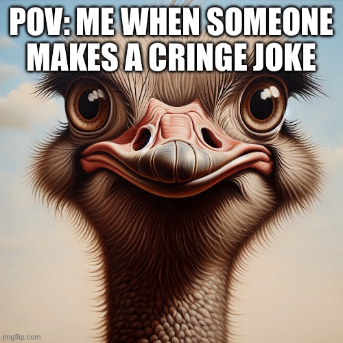 Funny ostrich | POV: ME WHEN SOMEONE MAKES A CRINGE JOKE | image tagged in funny ostrich,memes,meme,funny,ostrich,animals | made w/ Imgflip meme maker