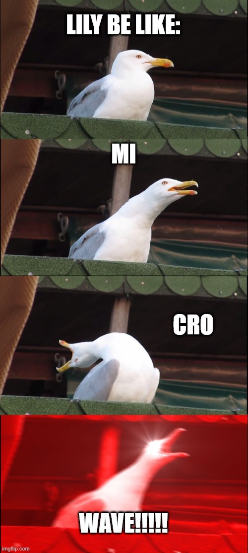 Inhaling Seagull Meme | LILY BE LIKE:; MI; CRO; WAVE!!!!! | image tagged in memes,inhaling seagull | made w/ Imgflip meme maker