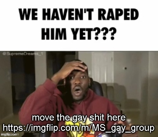 when the joke becomes real | move the gay shit here
https://imgflip.com/m/MS_gay_group | image tagged in we have not | made w/ Imgflip meme maker