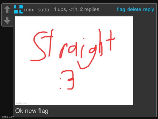 Yall fw the new straight flag | made w/ Imgflip meme maker