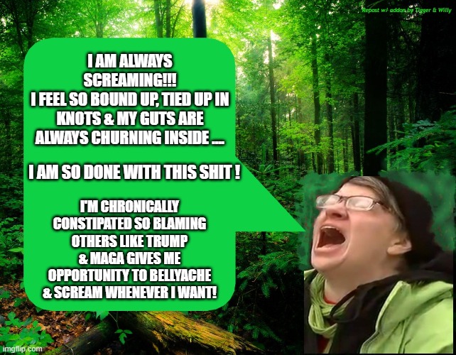 Why does she scream? | Repost w/ addon by Tigger & Willy; I AM ALWAYS SCREAMING!!!
I FEEL SO BOUND UP, TIED UP IN KNOTS & MY GUTS ARE ALWAYS CHURNING INSIDE .... I AM SO DONE WITH THIS SHIT ! I'M CHRONICALLY CONSTIPATED SO BLAMING OTHERS LIKE TRUMP & MAGA GIVES ME OPPORTUNITY TO BELLYACHE & SCREAM WHENEVER I WANT! | made w/ Imgflip meme maker