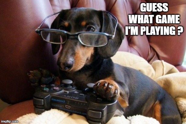 memes by Brad - Dog want you to guess what video game she's playing - funny - | GUESS WHAT GAME I'M PLAYING ? | image tagged in gaming,video games,dog,pc gaming,funny,humor | made w/ Imgflip meme maker