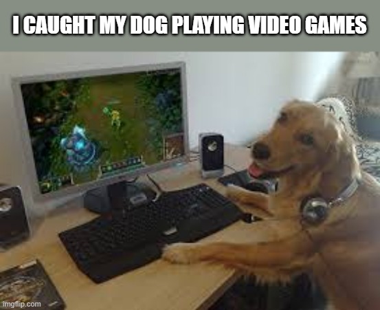 memes by Brad - I caught my dog playing video games -  funny  - | I CAUGHT MY DOG PLAYING VIDEO GAMES | image tagged in gaming,dogs,video games,funny,pc gaming,humor | made w/ Imgflip meme maker