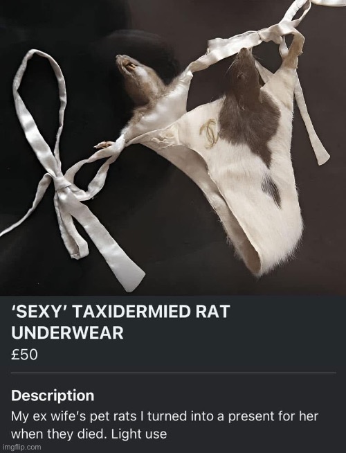 Rat G-String | image tagged in underwear,rats | made w/ Imgflip meme maker