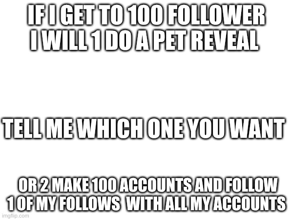 IF I GET TO 100 FOLLOWER I WILL 1 DO A PET REVEAL; TELL ME WHICH ONE YOU WANT; OR 2 MAKE 100 ACCOUNTS AND FOLLOW 1 OF MY FOLLOWS  WITH ALL MY ACCOUNTS | made w/ Imgflip meme maker