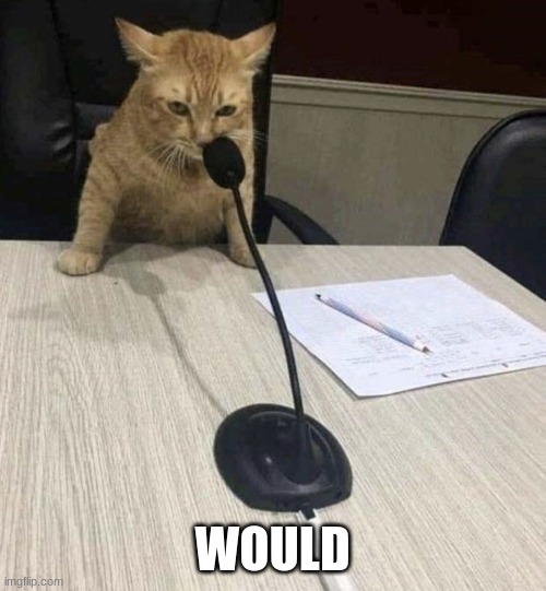 cat saying ‘would’ into microphone template | WOULD | image tagged in cat saying would into microphone template | made w/ Imgflip meme maker