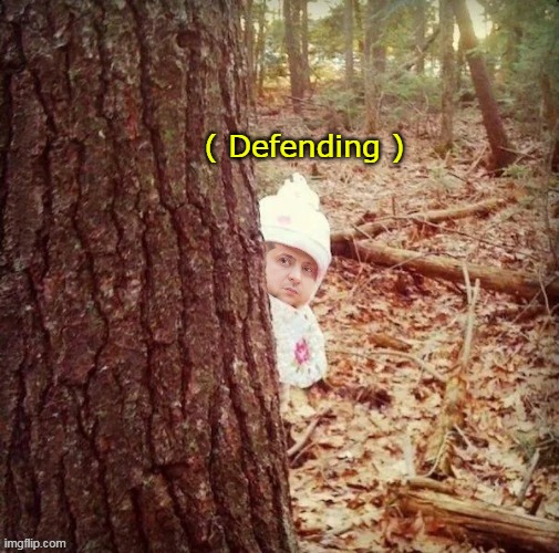 ( Defending ) | made w/ Imgflip meme maker