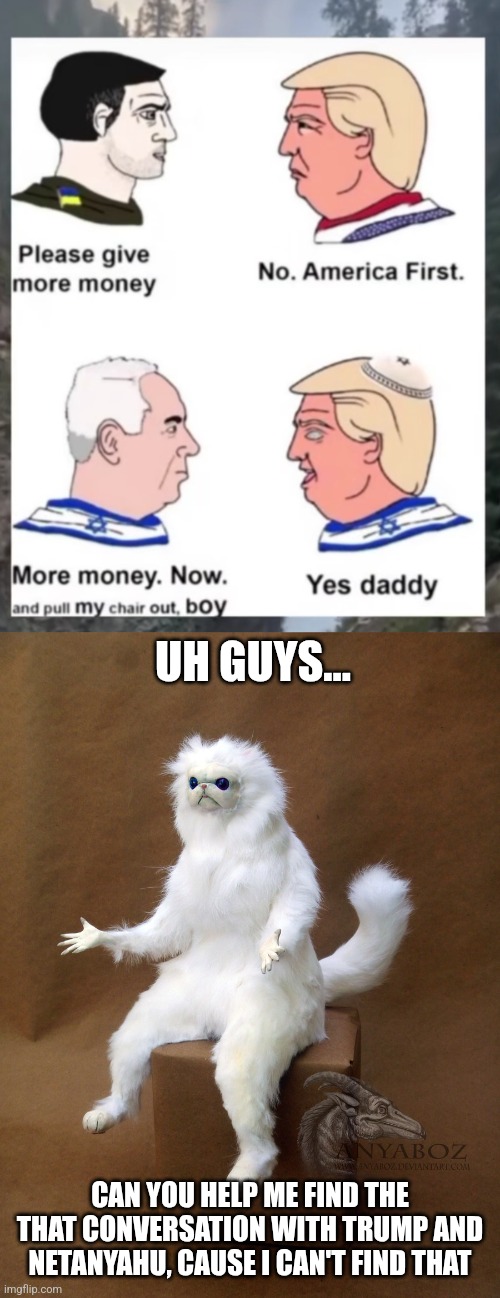 I will be a stocked if someone could find it | UH GUYS... CAN YOU HELP ME FIND THE THAT CONVERSATION WITH TRUMP AND NETANYAHU, CAUSE I CAN'T FIND THAT | image tagged in memes,persian cat room guardian single,stupid people,donald trump,benjamin netanyahu,israel | made w/ Imgflip meme maker