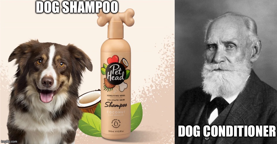 Doggie washing | DOG SHAMPOO; DOG CONDITIONER | image tagged in pavlov,shampoo,conditioning | made w/ Imgflip meme maker