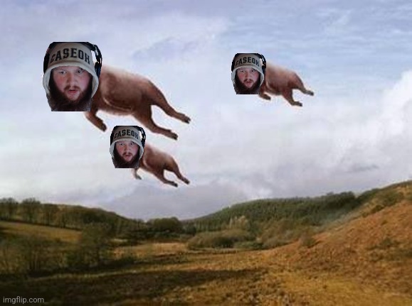 Pigs Fly | image tagged in pigs fly | made w/ Imgflip meme maker