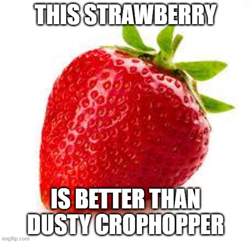 Strawberry | THIS STRAWBERRY; IS BETTER THAN DUSTY CROPHOPPER | image tagged in strawberry | made w/ Imgflip meme maker