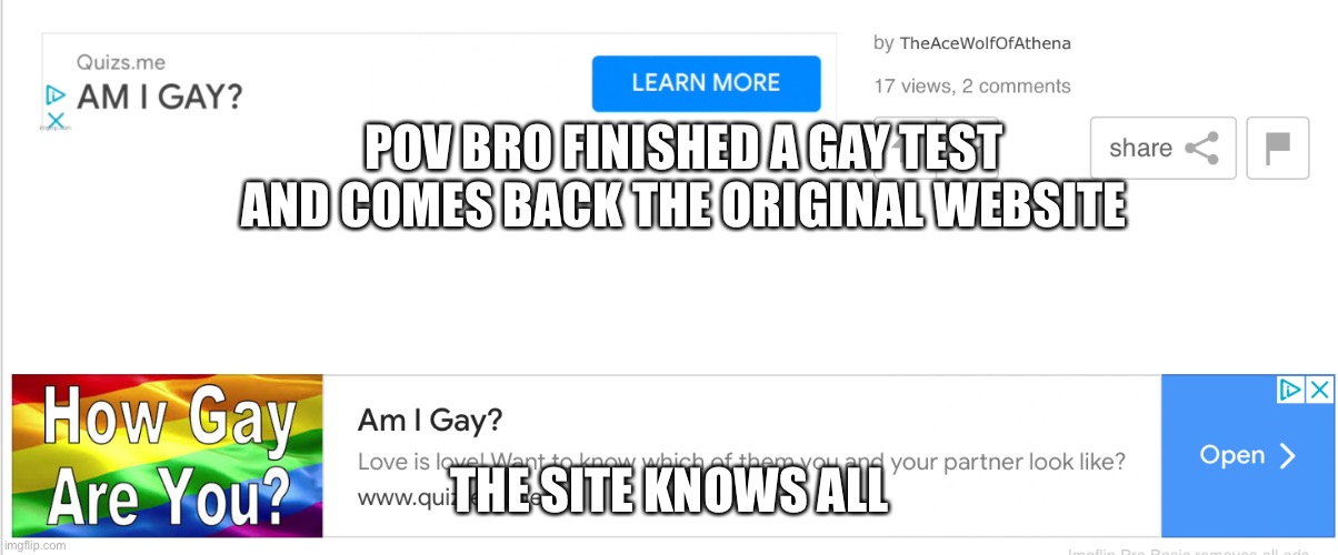 PP | POV BRO FINISHED A GAY TEST AND COMES BACK THE ORIGINAL WEBSITE; THE SITE KNOWS ALL | image tagged in am i gay quiz under am i gay quiz | made w/ Imgflip meme maker