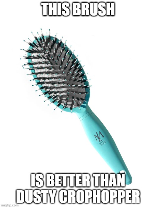 Brush | THIS BRUSH; IS BETTER THAN DUSTY CROPHOPPER | image tagged in brush | made w/ Imgflip meme maker