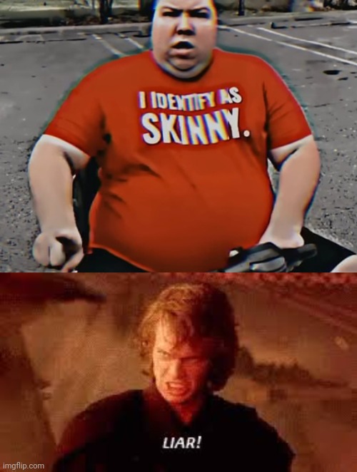 That lie was almost as big as his stomach! :D | image tagged in anakin liar,fatass,lying,dark humor | made w/ Imgflip meme maker