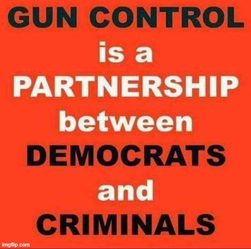 Yep, they're on the same team... | image tagged in guns,gun control,democrats,criminals,partners in crime | made w/ Imgflip meme maker