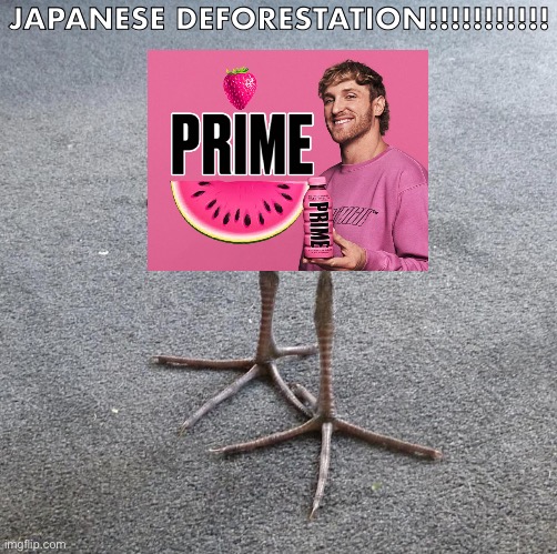 prime-koko chick | JAPANESE DEFORESTATION!!!!!!!!!!! | image tagged in pukeko chick | made w/ Imgflip meme maker