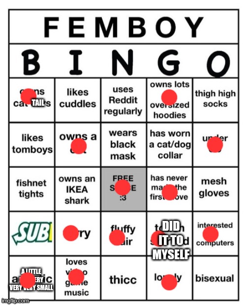 Femboy Bingo | TAIL; DID IT TO MYSELF; A LITTLE LIKE VERY VERY VERY SMALL | image tagged in femboy bingo | made w/ Imgflip meme maker