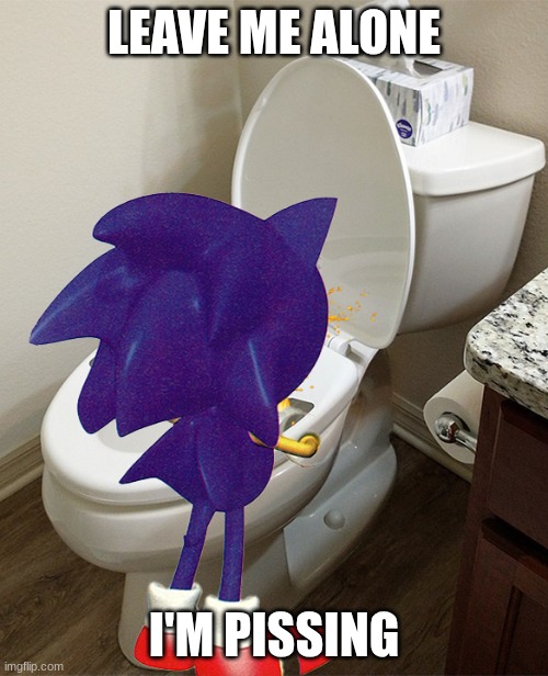 Sonic peeing in the toilet | LEAVE ME ALONE; I'M PISSING | image tagged in sonic peeing in the toilet | made w/ Imgflip meme maker