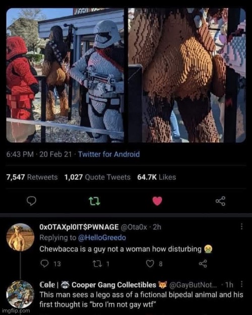 Chewbaccass | image tagged in chewbacca,ass,no homo | made w/ Imgflip meme maker