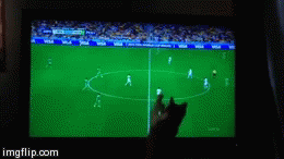 Cat Goalie | image tagged in gifs | made w/ Imgflip video-to-gif maker